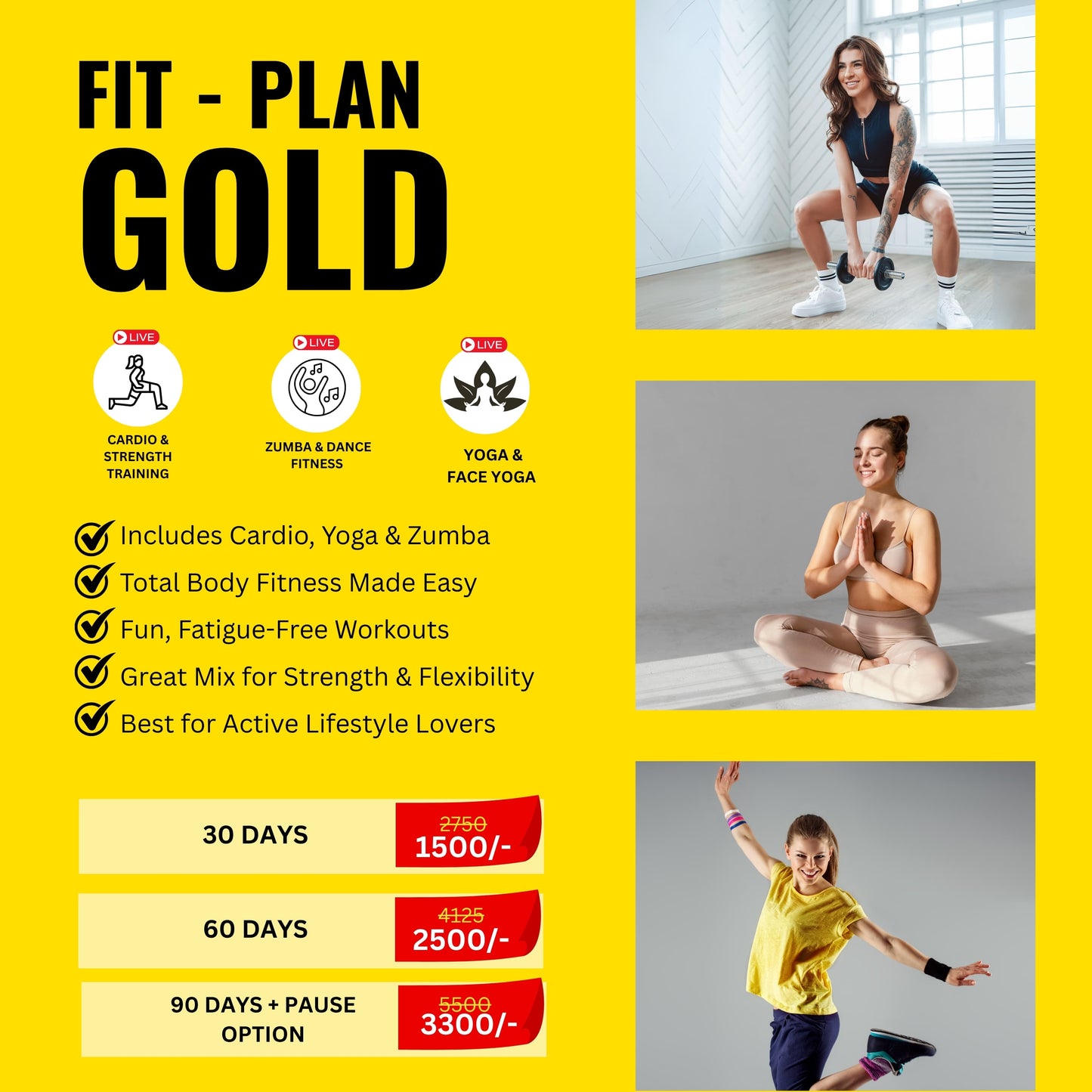 Healther Fit Gold Plan