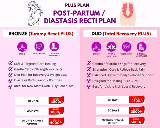 Healther PLUS PostPartum/Diastasis Recti Recovery Plan